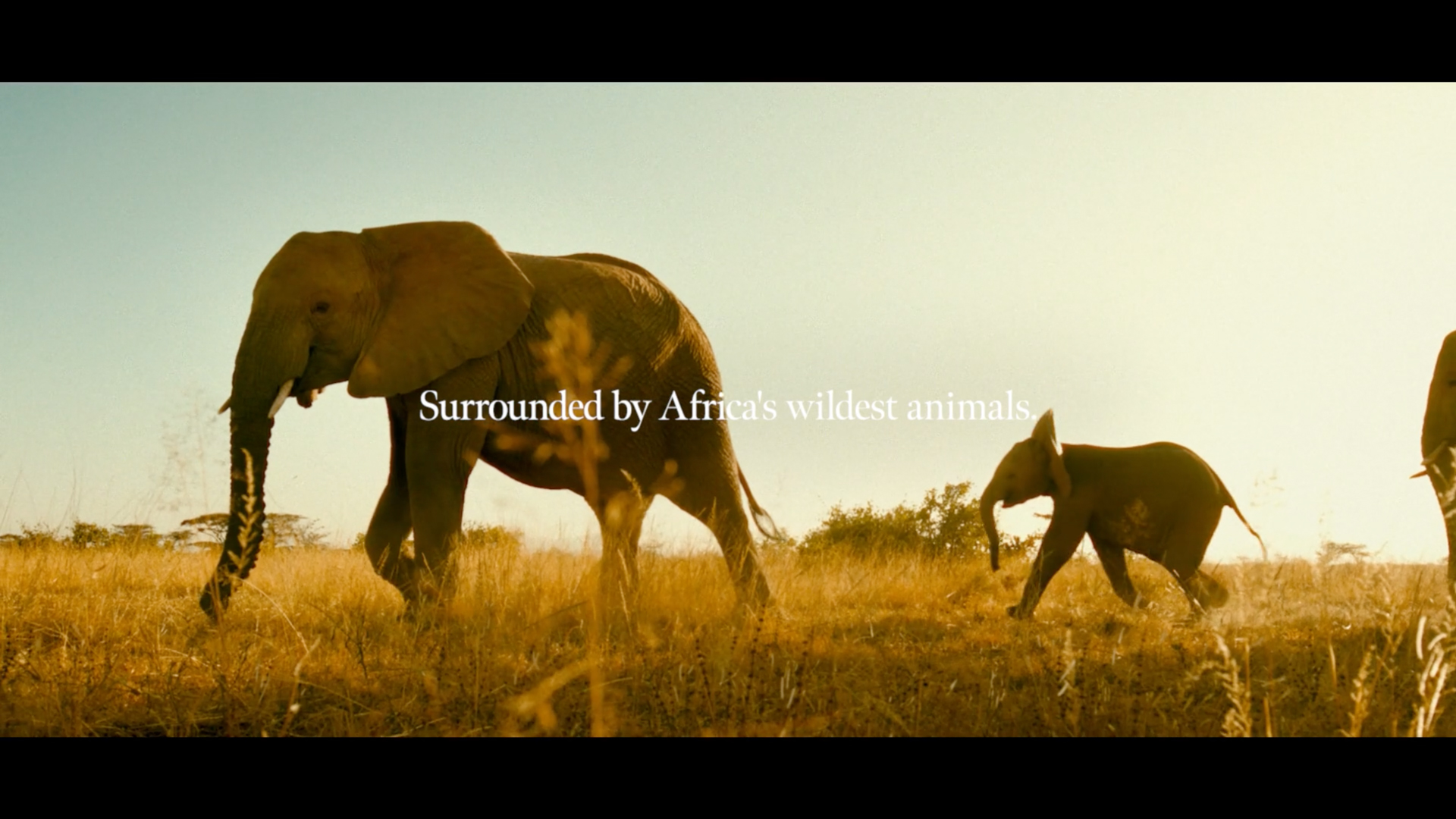 Monarto Safari Resort